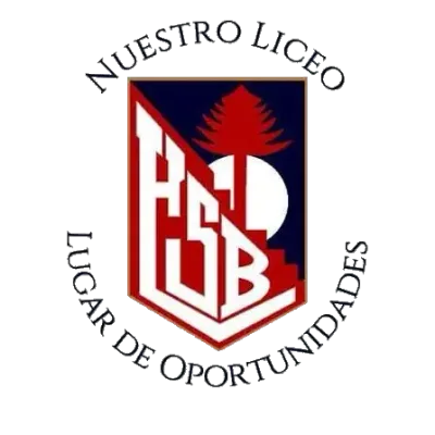 Liceo Bicentenario Hnos. Sotomayor